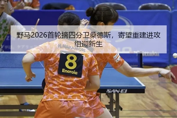 ye-ma-shou-lun-zhai-si-fen-wei-sang-de-si-ji-wang-chong-jian-jin-gong-zu-ying-xin-sheng-2-732.jpg